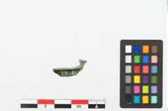 Foto von Bronzecertosafibelfuß (NHMW-PRAE-078066)